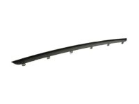 Ford DR3Z-17C830-AA Moulding - Bumper Bar