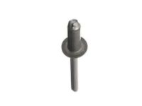 Ford -380335-S2 Rivet-3/16X.54 Blind