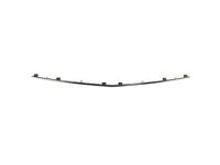 Ford DA5Z-17C830-A Moulding - Bumper Bar