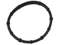 Ford BC3Z-6A632-A Gasket - Plate To Housing