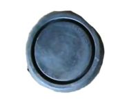 Ford -385138-S Plug Button 2.50 Dia