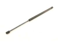 Ford 3L2Z-7842104-AA Lift Assembly - Gas