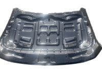 Ford JR3Z-16612-A Hood Assembly