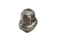 Ford GR3Z-1A043-A Locks - Chrome Plated for Exposed Lugs