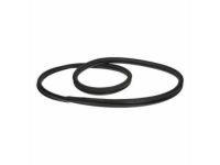 Ford BL8Z-7842084-B Weatherstrip - Back