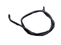 Ford 1L2Z-7821456-AA Weatherstrip - Door Belt