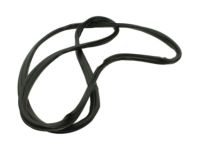 Ford CK4Z-6120708-B Weatherstrip Assembly - Door Opening