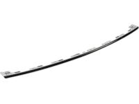 Ford JB5Z-17C830-AA MOULDING - BUMPER BAR