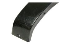 Ford 6L2Z-16038-CAPTM Moulding