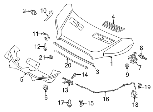 2020 Ford Transit Hood & Components Diagram