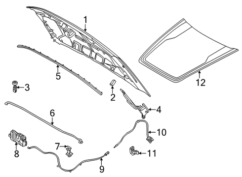 2022 Ford Maverick Hood & Components, Exterior Trim Diagram