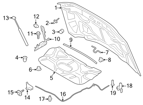 2024 Ford F-350 Super Duty Hood & Components Diagram