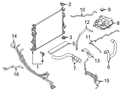 2022 Ford Maverick HOSE - RADIATOR Diagram for LX6Z-8260-B