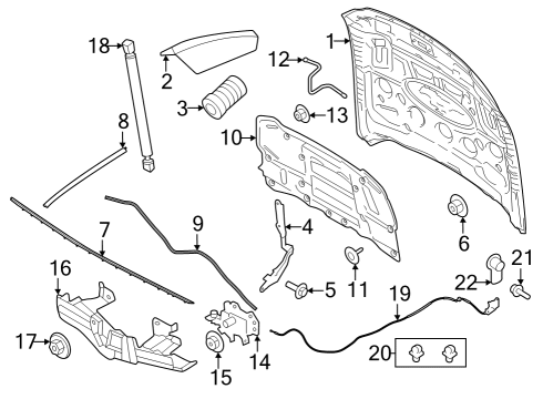 2024 Ford Mustang NUT AND WASHER ASY - HEX. Diagram for -W714065-S450B