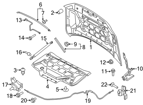 2021 Ford F-150 Hood & Components Diagram 1