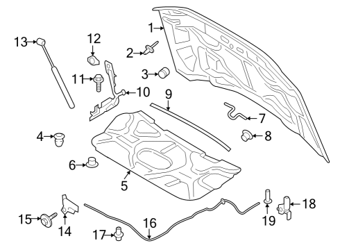 2023 Ford F-250 Super Duty Hood & Components Diagram