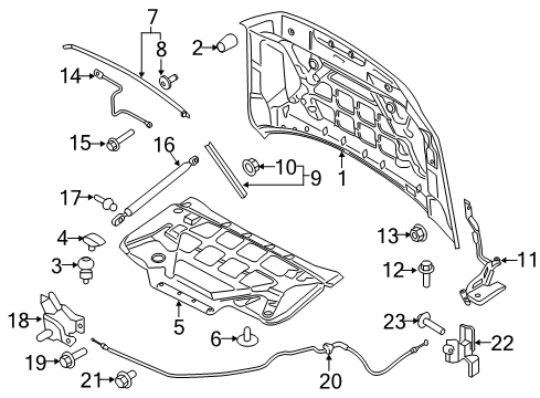 2020 Ford F-150 Hood & Components Diagram 1