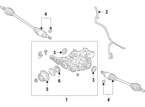 2021 Ford Bronco Sport Rear Axle, Differential, Drive Axles, Propeller Shaft Diagram