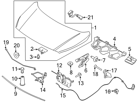 2023 Ford Transit Connect Hood & Components Diagram