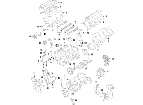 2019 Ford Police Interceptor Sedan Engine Parts, Mounts, Cylinder Head & Valves, Camshaft & Timing, Variable Valve Timing, Oil Cooler, Oil Pan, Oil Pump, Adapter Housing, Crankshaft & Bearings, Pistons, Rings & Bearings Diagram 3