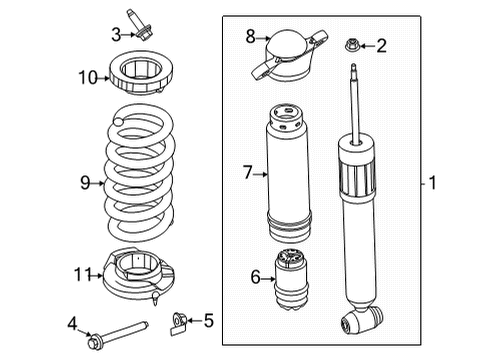 2022 Ford Mustang Mach-E Shocks & Components - Rear Diagram