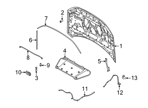 2021 Ford Bronco Sport HOOD ASY Diagram for M1PZ-16612-A