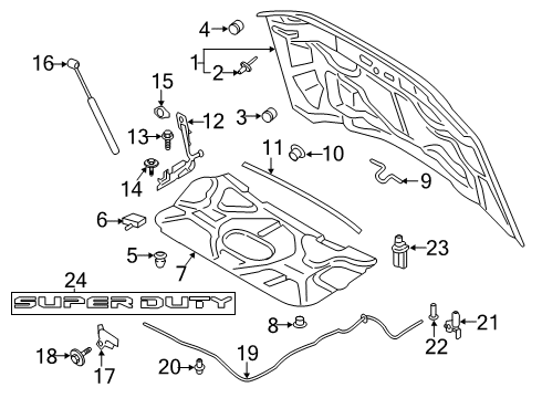 2020 Ford F-350 Super Duty Hood & Components Diagram