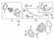 Diagram for 2021 Ford Transit Connect Cooling Hose - JX6Z-8597-B