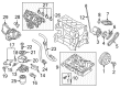 Diagram for Ford Oil Pressure Switch - CM5Z-9D290-B