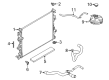 Diagram for Ford Bronco Sport Radiator Hose - LX6Z-8286-X