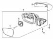 Diagram for 2020 Ford Escape Mirror Cover - LJ6Z-17D742-BBPTM