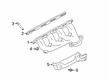 Diagram for 2023 Ford F-350 Super Duty Exhaust Manifold - LC3Z-9430-D