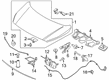 Diagram for 2021 Ford Transit Connect Hood - KT1Z-16612-C