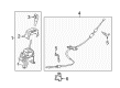 Diagram for Ford EcoSport Automatic Transmission Shifter - GN1Z-7210-CF