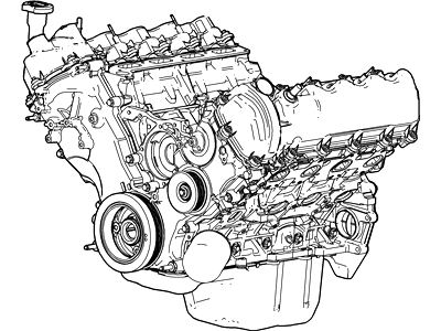 Ford 5L3Z-6006-BRM
