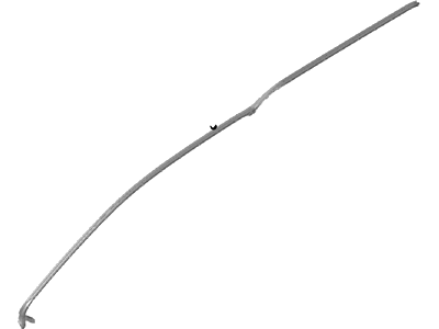 Ford DT1Z-1551823-D Weatherstrip Assembly - Door Opening