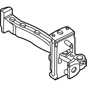 Ford Mustang Mach-E Door Check - LJ8Z-5823552-A