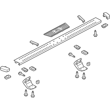 Ford CL3Z-16450-CB Step Assembly