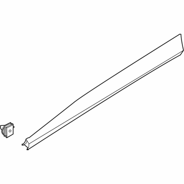 Ford LJ8Z-5820878-AA MOULDING - DOOR OUTSIDE