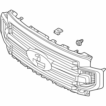 2021 Ford F-350 Super Duty Grille - LC3Z-8200-FA