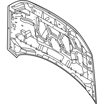 2021 Ford Bronco Sport Hood - M1PZ-16612-A